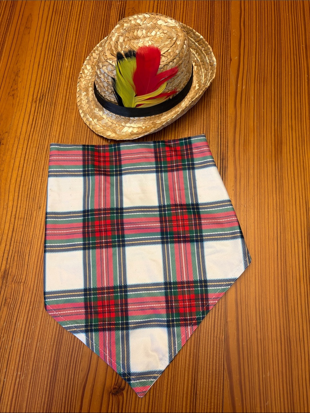 Plaid Dog Bandana in Red and Green - with Straw Hat